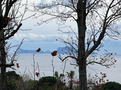 landscape-views-capri-luxury-posillipo-capri-view-apartment